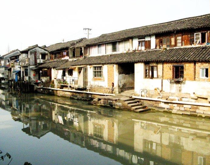 动物帮帮忙保卫家园